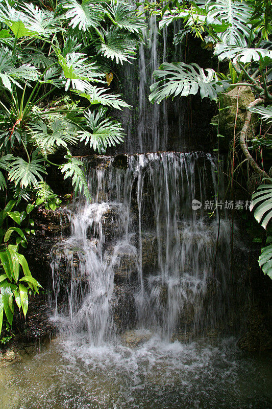 雨林瀑布2 -克罗恩温室，辛辛那提，俄亥俄州